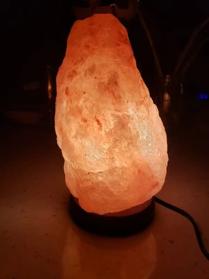 Lámpara de sal rosa del Himalaya regulable grande de 10" gran luz nocturna  Foto 1 de 4