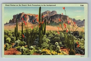 Giant Cactus On The Desert, Rock Formations In The Background Vintage Postcard - Picture 1 of 2