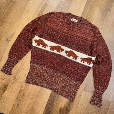 复古 60 年代 70 年代 Jantzen 毛衣 Fire & Rain Buffalo 图形 MCM Mod 男式 M — 第 1/4 张图片