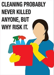 Limpieza Probablemente Never Asesinados Anyone, Why Risk En Imán de 90mm x 65mm - Picture 1 of 1