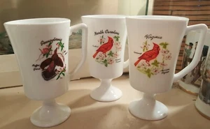 MUGS COLLECTIBLE 3 FOOTED MILK GLASS WITH PA.VA.NC STATES BIRDS CUP DRINKWWARE   - Picture 1 of 8