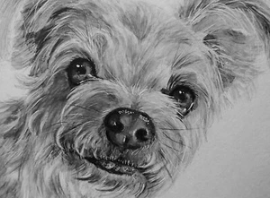 ORIGINAL Custom PET PORTRAIT Dog Cat Animal Painting from Photo Different Sizes - Picture 1 of 14