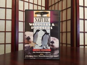Nature Dbl Feature The World of Penguins & A Sea Otter Story (DVD, CIne, 2005) - Imagen 1 de 3
