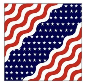 48 PC Wholesale Lot 100% COTTON USA Wavy American Flag Biker Scarf Bandanas Head - Picture 1 of 2