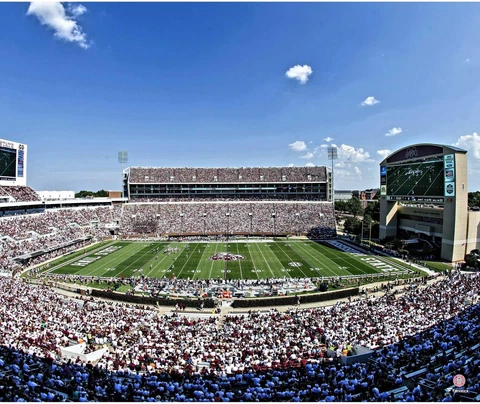 Mississippi State Bulldogs Unsigned Davis Wade Stadium Photograph Cover