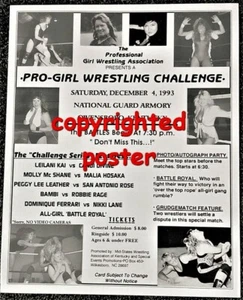 1993 Collectible women wrestling poster PGWA Lady Sports Pro-Girl Challenge - Picture 1 of 1