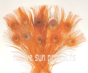 25 Peacock Eye Feathers 10-15" L  Bleached & dyed in your choice of 21 colors - Picture 1 of 26