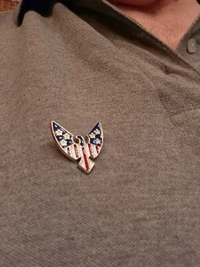 USA Enamel Eagle Shaped Lapel Pin Patriotic Hat Tie Tack Badge Brass Pin Back - Picture 1 of 1