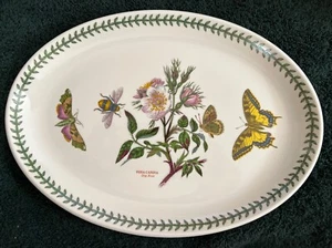 Portmeirion - Orto Botanico - Rosa Canina - Piatto Ovale 13" - Made in England - Foto 1 di 5