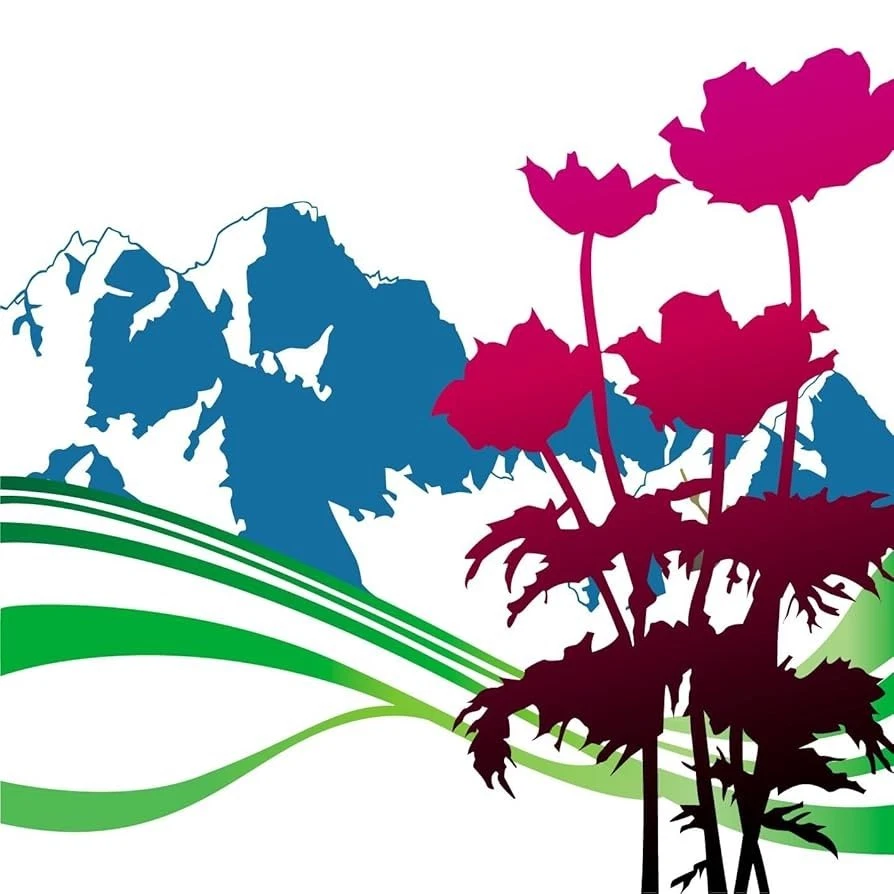 New Order,CD,Best Of...International (CD, 2002, London) Foto 1 de 1