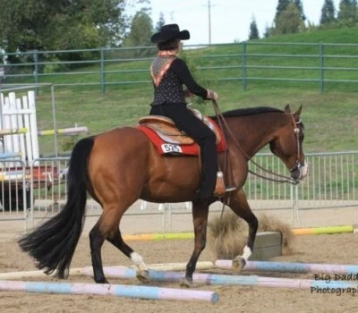 Prolunga coda KATHYS TAILS nuova 1 libbra 36". Perm Tops colore a scelta MADE IN USA! - Immagine 1 di 4