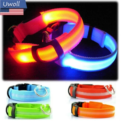 Collares LED ajustables de nailon impermeables para mascotas perros luces de seguridad nocturna al aire libre Foto 1 de 4