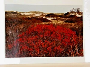 John R. Wells, Cibachrome, Landschaft Parker River Natur Refuge, Plum Island, MA - Bild 1 von 8