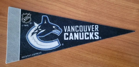 Vancouver Canucks Mini Pennants, 4" x 9" - Licensed by Rico - Made In USA Cover
