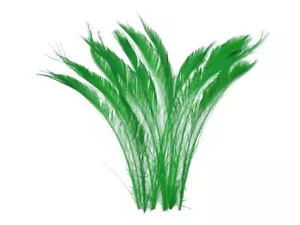 50 Pieces - 10-12" Green Bleached & Dyed Peacock Swords Cut Wholesale Feathers - Picture 1 of 3
