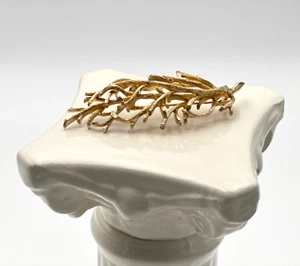 Vintage Capri (1949-1977) goldfarbene Zweige Brosche Anstecknadel 4 Zoll - Bild 1 von 4