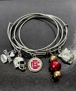 Florida BCU-HBCU Fußball - Silber Draht Armreif Armband 3er Set mit Charms - 0058 - Bild 1 von 7