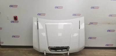 19 GMC SIERRA 2500 HOOD ASSEMBLY WHITE 6.6L DIESEL Foto 1 de 4