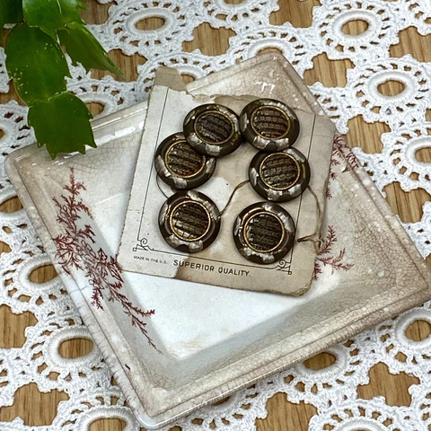 Antique Victorian Buttons Brown Fabric Center Lot of 6 Button Card Cover