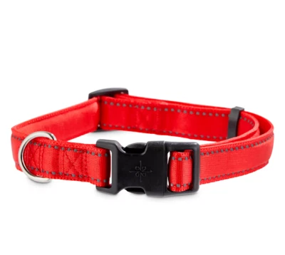 YOULY The Protector Reflective Red Dog Collar, Small