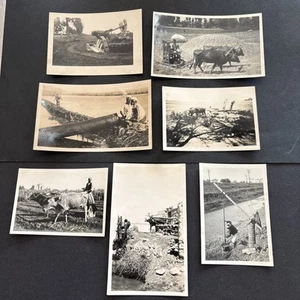 Fotos de riego nativo egipcio de la Segunda Guerra Mundial tomadas por un militar de la RAF Ref#F9 - Imagen 1 de 16