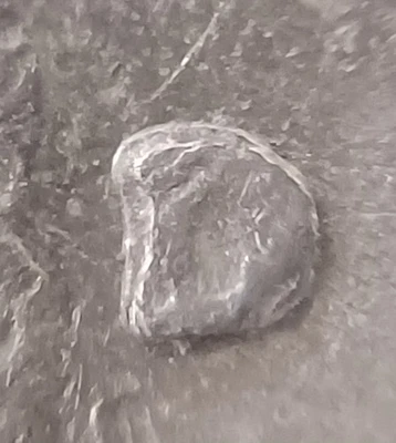 1988 D Washington Quarter DDO (Doubled Die Obverse) & RPM (Repunched Mint Mark)  - Image 1 of 4