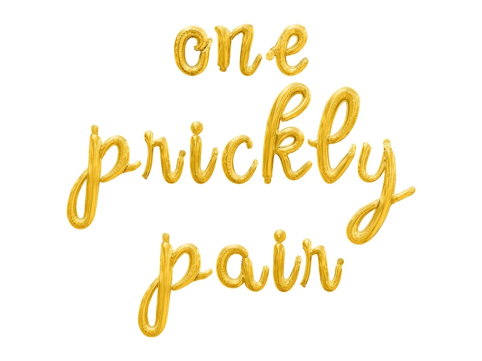 UN PAR ESPINOSO Banner Globo Letra Cursiva - Decoraciones Fiesta Compromiso Foto 1 de 4