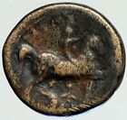 KASSANDER Killer of Alexander the Great FAMILY Ancient Greek Coin Horse i112153