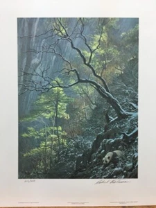 Stampa artistica fauna selvatica firmata e numerata Robert Bateman Panda gigante in the Wild - Foto 1 di 1