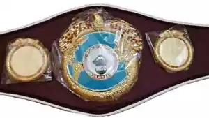 BRAND NEW WBC Boxing Championship Title Belt Adult Size Gold Plated Replica - Picture 1 of 4