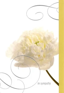 With Deep Sympathy Loss White Peony Peonies Botanical Flowers Hallmark Card - Picture 1 of 3