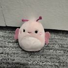 RARE SQUISHMALLOWS SQUISHVILLE MARIBEL BUTTERFLY Only