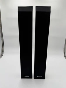 Par de altavoces de torre de pie Panasonic SB-HF950 250 W 6 Ω negros - Imagen 1 de 4