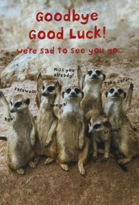 "Goodbye Good Luck! we're sad to see you go" Meerkats Waving Goodbye MEDIUM Card - Bild 1 von 5