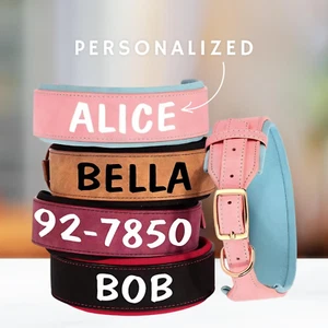 Personalized Wide Band Dog Collar – Custom Name ID, Padded & Adjustable S-XL - Picture 1 of 14