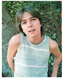 DAVID CASSIDY 70er Jahre Farbfoto 8 x 10 ~ RAR Fund ~ Rebhuhnfamilie ~ VINTAGE - Bild 1 von 1