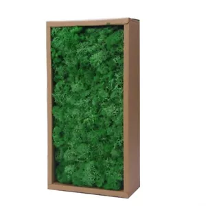 Preserved Reindeer Craft Moss-17.6oz Natural Green DIY Kit Gardenning Art Wall - Picture 1 of 9