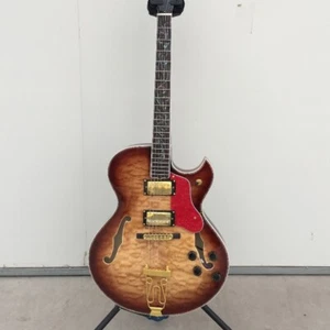 ES-175 Byrdland E-Gitarre Sunburst gesteppte Ahorndecke Blumeneinlage Jazz - Bild 1 von 8