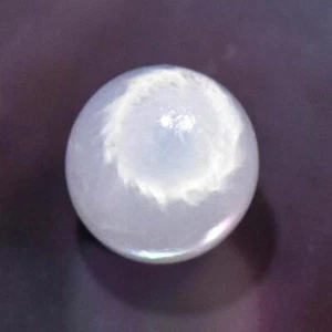 0.65 cts Genuine Natural Wild Tridacna Clam Pearl 5.00 mm Extremely Rare 0.13 g - Picture 1 of 13