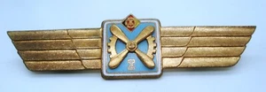 DDR NVA Klassifizierungsabzeichen Fliegeringenieurtechnisches Personal Stufe I - Picture 1 of 2