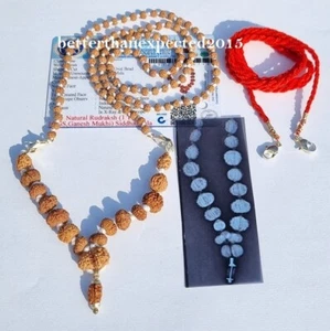 Siddha Rudraksha Mala 1-14 Mukhi + Gauri Shankar + Ganesh + 5 Mukhi Rudraksha - Picture 1 of 4