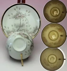 Sakura Cherry Blossom Lithophane Geisha Porcelain Cup and Saucer NEW Japan - Picture 1 of 57