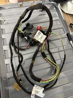 Telar de cableado de puerta para conductores Audi RS6 C5 4b0 971 029 k Foto 1 de 2