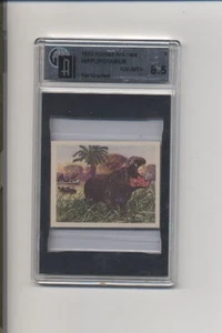 1933 Planters Nut and Chocolate Hunted Animals Hippopotamus R71 GAI 8.5 Highest - Picture 1 of 1