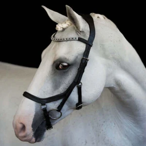 'Azure' Anatomic Leather Bridle (Euro Version) Clearance - Picture 1 of 12