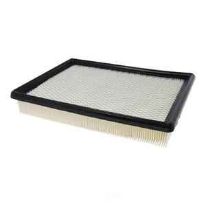 Filtro de aire Prime Guard PAF5330 - Imagen 1 de 2
