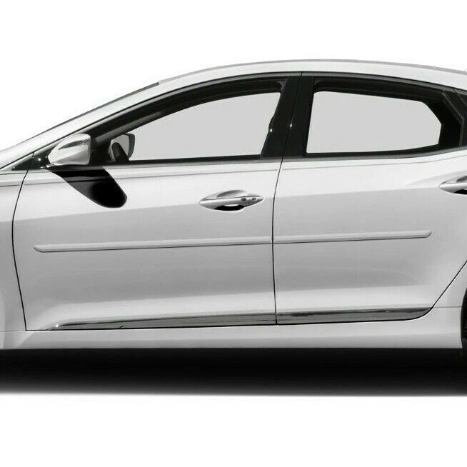 For: Hyundai Azera 2012-2017 Painted Body Side Moldings #FE-AZERA12 Foto 1 de 4