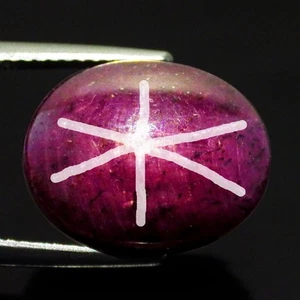 16,49 Ct Romantico Ovale (14 x 10 mm) 100% Naturale Mozambico Stella Rossa Rubino Gemme - Foto 1 di 7