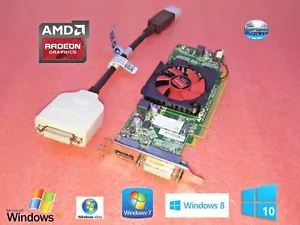 Scheda video 1 GB HP Compaq SFF: dc5800, dc5850, dc7100, dc7600, dc7700 Dual DVI - Foto 1 di 2