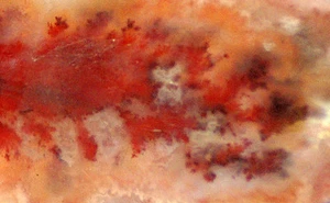 Carey Plume Agate polished one side Lapidary Display collection slab - Picture 1 of 10